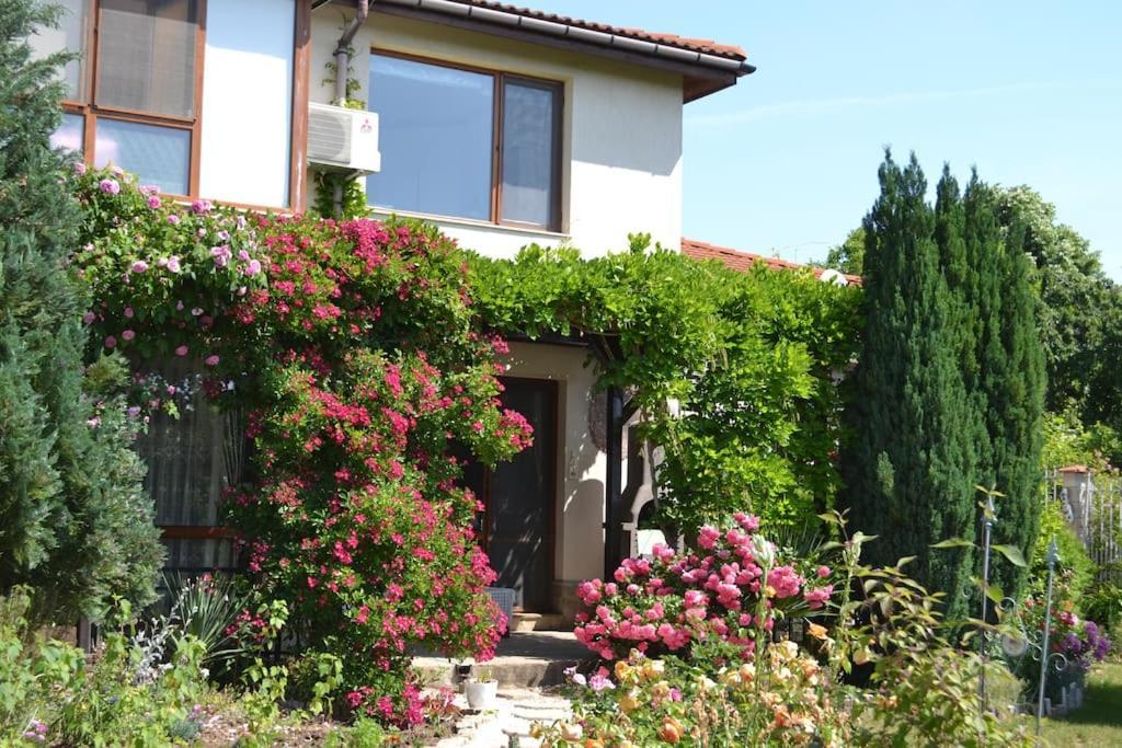 Sea & Garden Villa 바르나 외부 사진