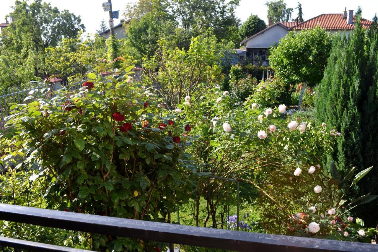Sea & Garden Villa 바르나 외부 사진