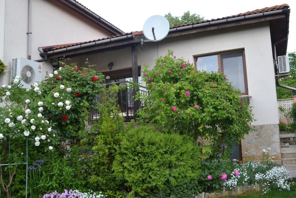 Sea & Garden Villa 바르나 외부 사진